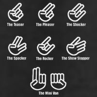 The Teaser The Pleaser The Shocker The Spocker The Rocker 7 Panel Mesh Trucker Snapback Hat