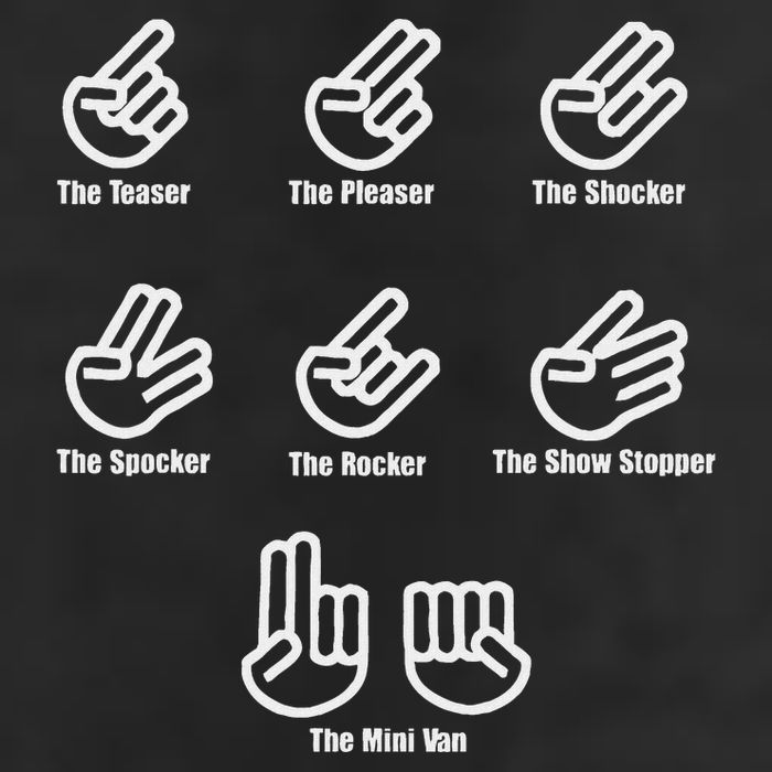 The Teaser The Pleaser The Shocker The Spocker The Rocker 7 Panel Mesh Trucker Snapback Hat