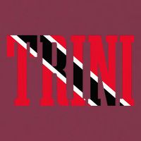 Trinidad & Tobago Trini Trinidadian Flag Pride 16oz Travel Tumbler