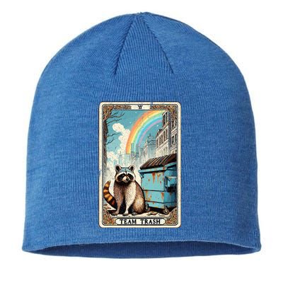 Team Trash Tarot Card Mystic Raccoon Sustainable Beanie