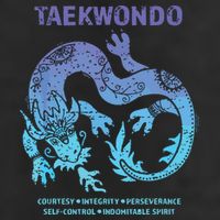 Taekwondo TKD Tae Kwon Do Dragon Art Martial Arts Graphic Adult Drive Performance Visor