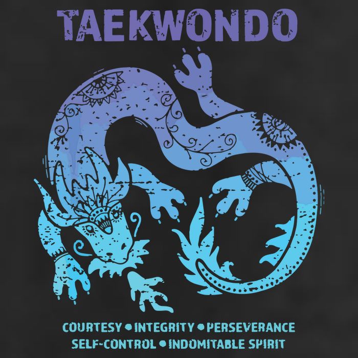 Taekwondo TKD Tae Kwon Do Dragon Art Martial Arts Graphic Adult Drive Performance Visor