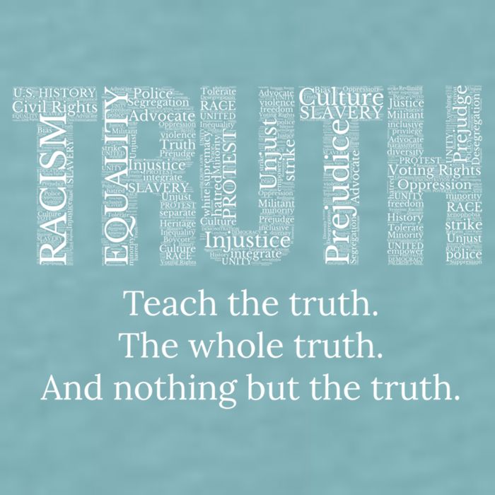 Teach The Truth The Whole Truth And Nothing But The Truth Cool Gift Sueded Cloud Jersey T-Shirt