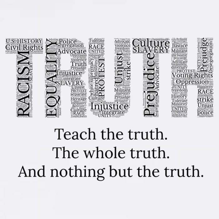 Teach The Truth The Whole Truth And Nothing But The Truth Cool Gift Garment-Dyed Sweatshirt