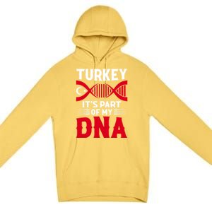 TüRkiye Turkey Turkiye Turkish Flag Funny Gift Premium Pullover Hoodie