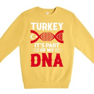 TüRkiye Turkey Turkiye Turkish Flag Funny Gift Premium Crewneck Sweatshirt