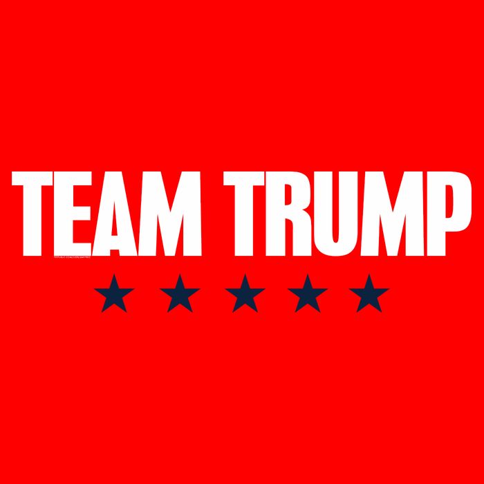 TEAM TRUMP Toddler Sweatshirt