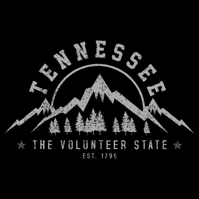 Tennessee The Volunteer State Est. 1796 Nashville Gift 16 in Basic Backpack