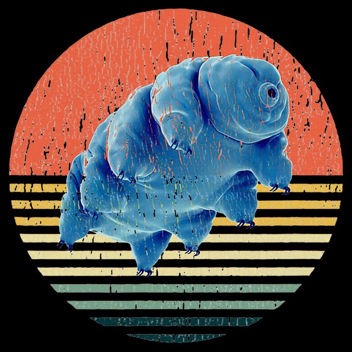 Tardigrade T Vintage Retro Microbiology Gift Water Bear Hoodie