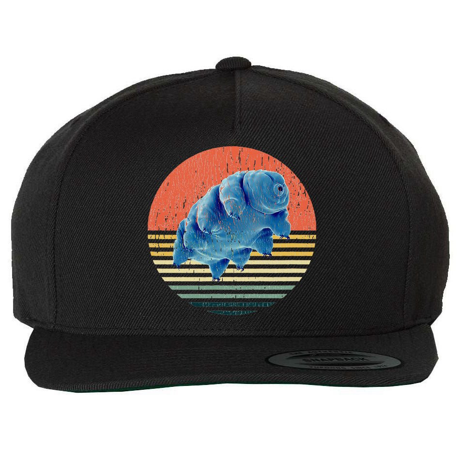 Tardigrade T Vintage Retro Microbiology Gift Water Bear Wool Snapback Cap