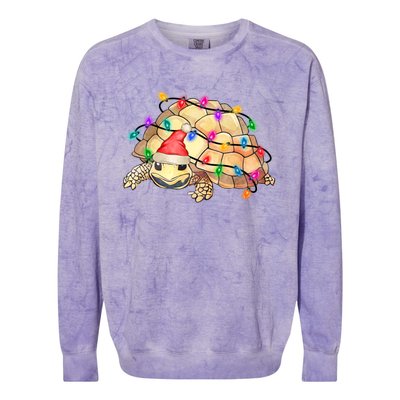 Turtle Tortoise Wearing Santa Hat Christmas Lights Graphic Animal Lover Colorblast Crewneck Sweatshirt