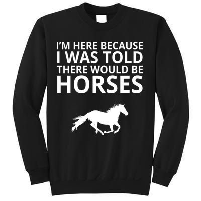 Told There Would Be Horses Sweatshirt