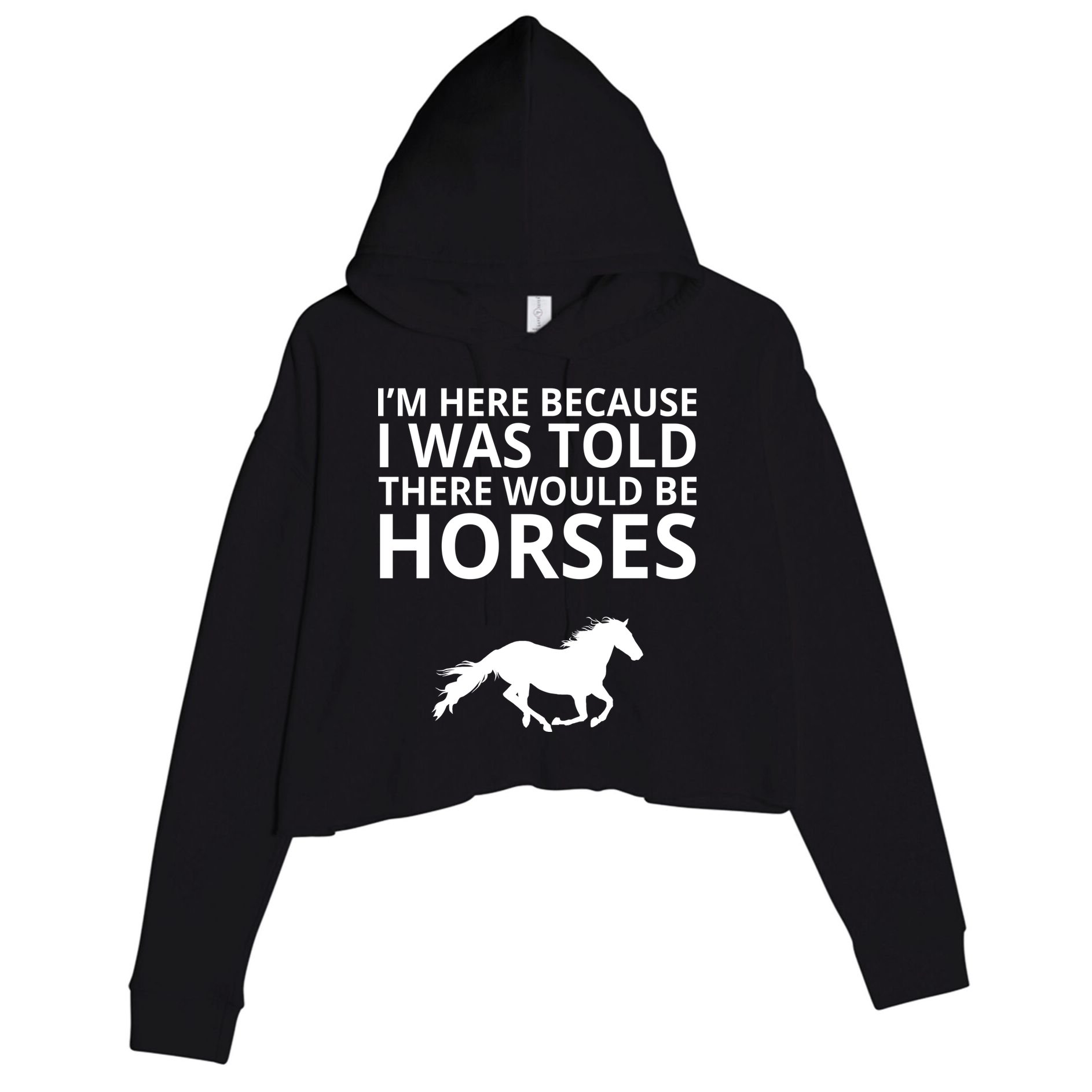 Told There Would Be Horses Crop Fleece Hoodie