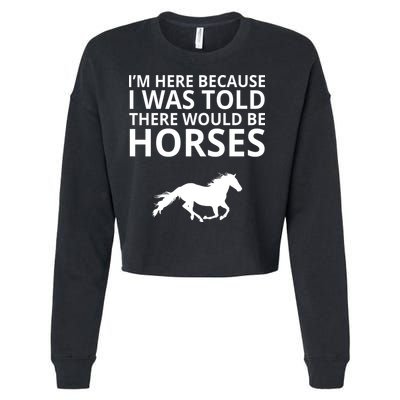 Told There Would Be Horses Cropped Pullover Crew