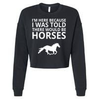 Told There Would Be Horses Cropped Pullover Crew