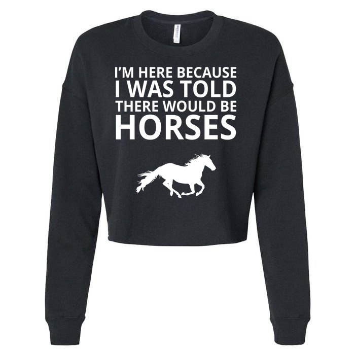 Told There Would Be Horses Cropped Pullover Crew