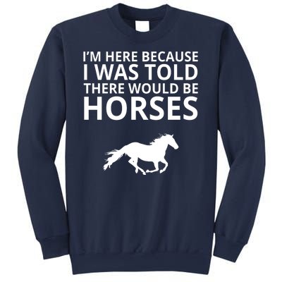 Told There Would Be Horses Sweatshirt