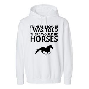 Told There Would Be Horses Garment-Dyed Fleece Hoodie