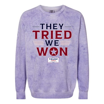 They Tried We Won Trump 2024 Colorblast Crewneck Sweatshirt