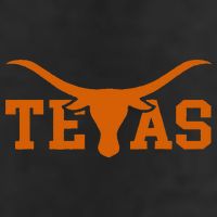 Texas USA Bull American Font 7 Panel Mesh Trucker Snapback Hat