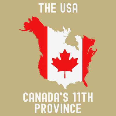 The Usa Canada’S 11th Province Funny .Png T-Shirt