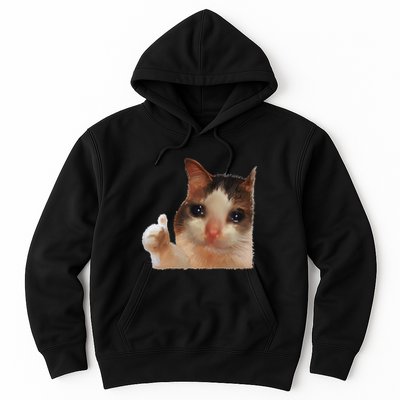 Thumbs Up Crying Cat Meme Cat Crying Thumps Up Memes Sad Cat Hoodie