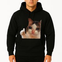 Thumbs Up Crying Cat Meme Cat Crying Thumps Up Memes Sad Cat Hoodie