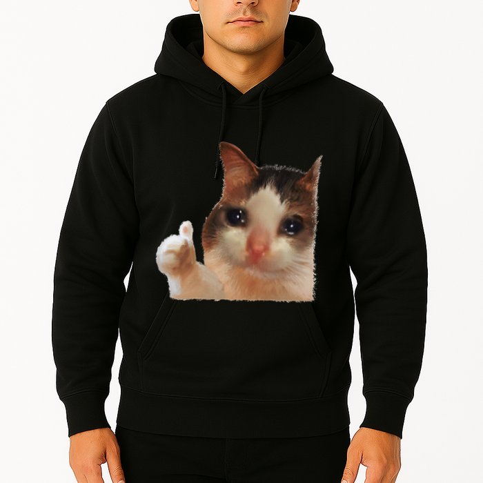 Thumbs Up Crying Cat Meme Cat Crying Thumps Up Memes Sad Cat Hoodie