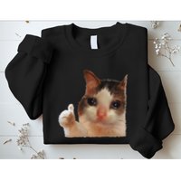 Thumbs Up Crying Cat Meme Cat Crying Thumps Up Memes Sad Cat Sweatshirt