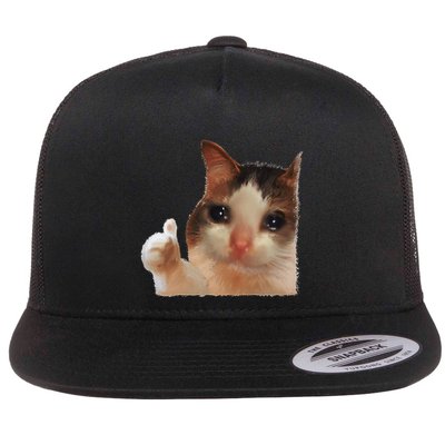 Thumbs Up Crying Cat Meme Cat Crying Thumps Up Memes Sad Cat Flatbill Hat