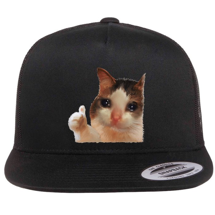 Thumbs Up Crying Cat Meme Cat Crying Thumps Up Memes Sad Cat Flat Bill Trucker Hat
