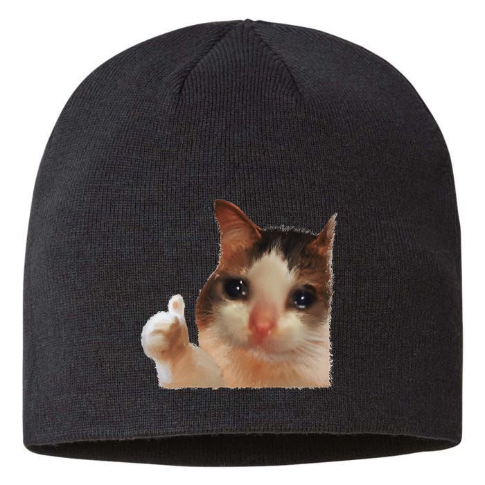 Thumbs Up Crying Cat Meme Cat Crying Thumps Up Memes Sad Cat Sustainable Beanie