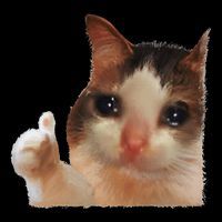 Thumbs Up Crying Cat Meme Cat Crying Thumps Up Memes Sad Cat 16 in Basic Backpack