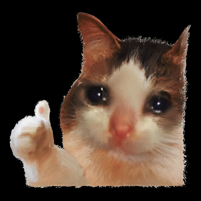 Thumbs Up Crying Cat Meme Cat Crying Thumps Up Memes Sad Cat 16 in Basic Backpack