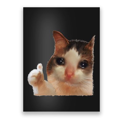 Thumbs Up Crying Cat Meme Cat Crying Thumps Up Memes Sad Cat Poster