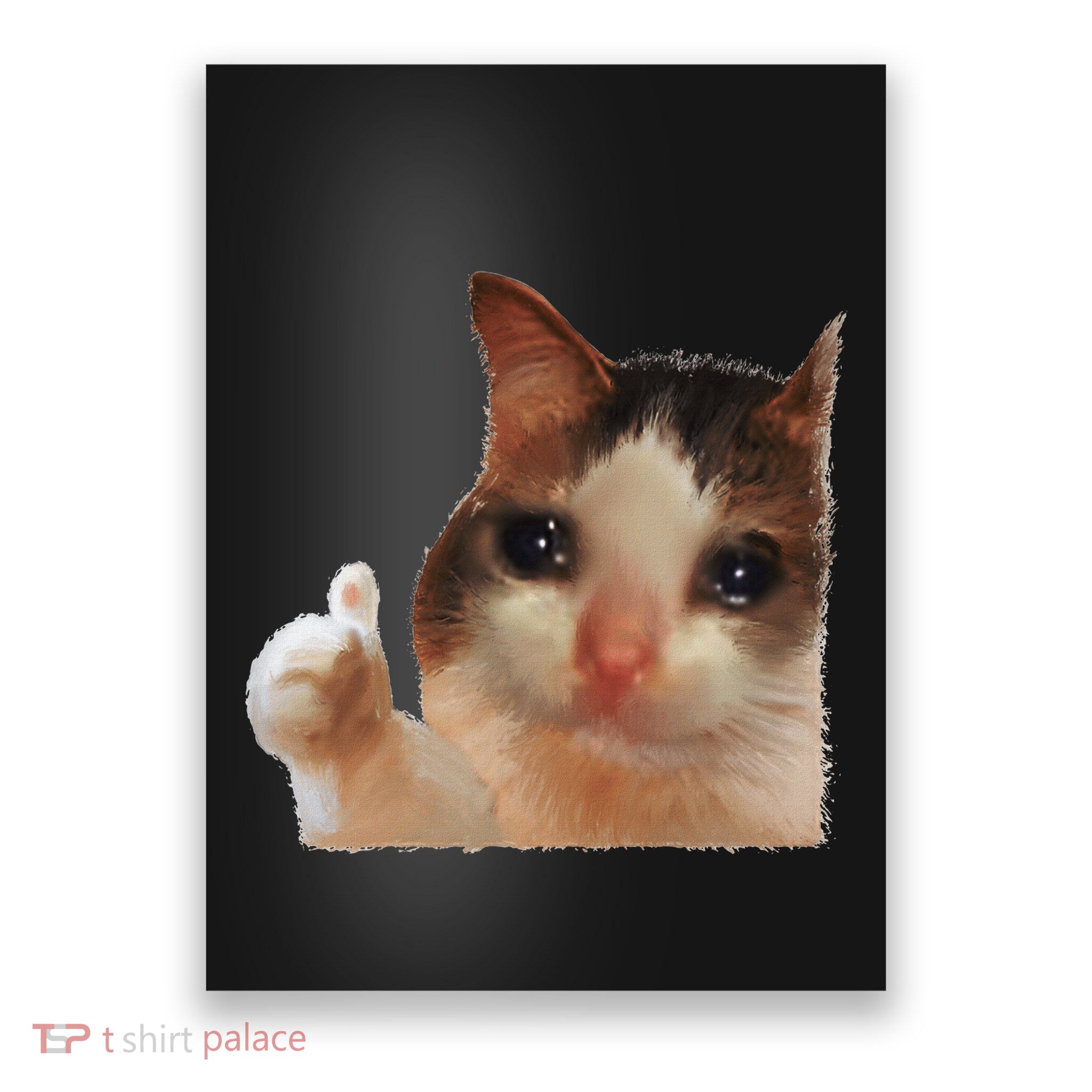 Thumbs Up Crying Cat Meme Cat Crying Thumps Up Memes Sad Cat Poster