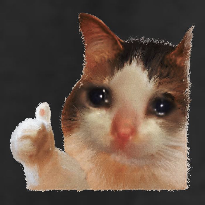 Thumbs Up Crying Cat Meme Cat Crying Thumps Up Memes Sad Cat Hat