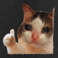 Thumbs Up Crying Cat Meme Cat Crying Thumps Up Memes Sad Cat Golf Towel