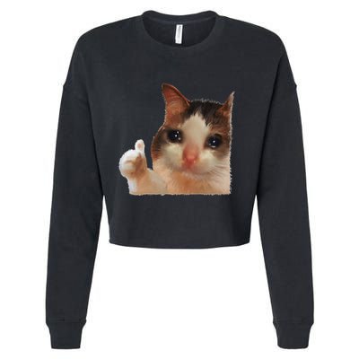 Thumbs Up Crying Cat Meme Cat Crying Thumps Up Memes Sad Cat Cropped Pullover Crew