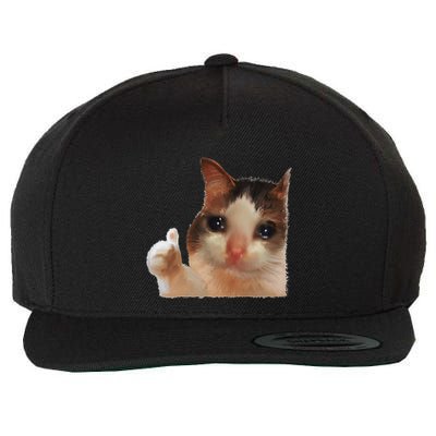Thumbs Up Crying Cat Meme Cat Crying Thumps Up Memes Sad Cat Wool Snapback Cap