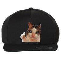 Thumbs Up Crying Cat Meme Cat Crying Thumps Up Memes Sad Cat Wool Snapback Cap