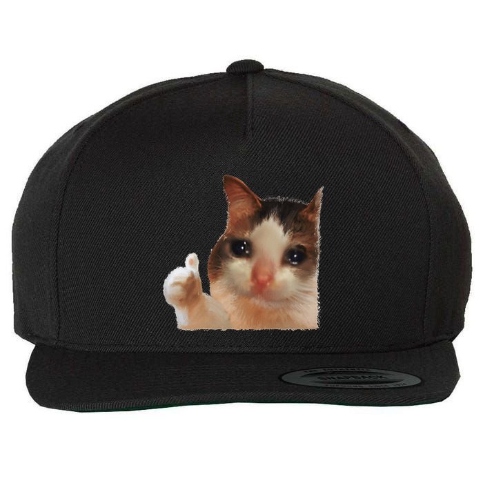 Thumbs Up Crying Cat Meme Cat Crying Thumps Up Memes Sad Cat Wool Snapback Cap