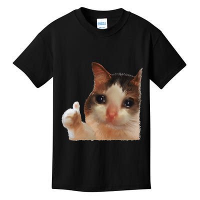 Thumbs Up Crying Cat Meme Cat Crying Thumps Up Memes Sad Cat Kids T-Shirt