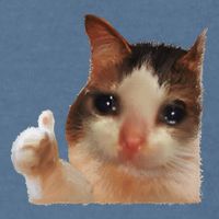 Thumbs Up Crying Cat Meme Cat Crying Thumps Up Memes Sad Cat Garment-Dyed Sweatshirt