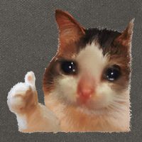Thumbs Up Crying Cat Meme Cat Crying Thumps Up Memes Sad Cat Cotton Canvas Backpack