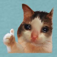 Thumbs Up Crying Cat Meme Cat Crying Thumps Up Memes Sad Cat Sueded Cloud Jersey T-Shirt