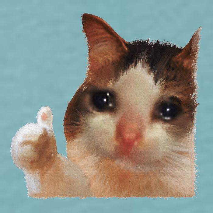 Thumbs Up Crying Cat Meme Cat Crying Thumps Up Memes Sad Cat Sueded Cloud Jersey T-Shirt