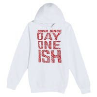 The Usos Down Since Day One ISH Premium Pullover Hoodie