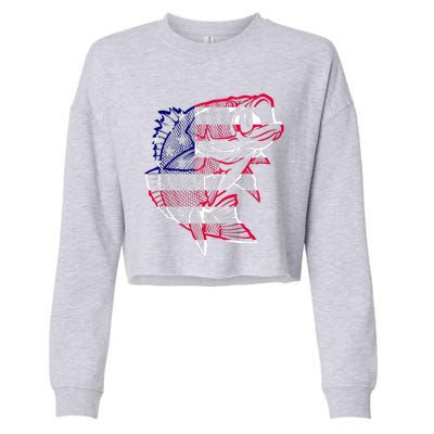 Transparent USA Fish Flag Cropped Pullover Crew