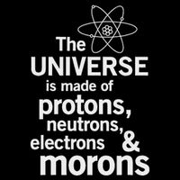 The Universe Is Made Of Protons Neutrons Electrons Moron Wool Snapback Cap
